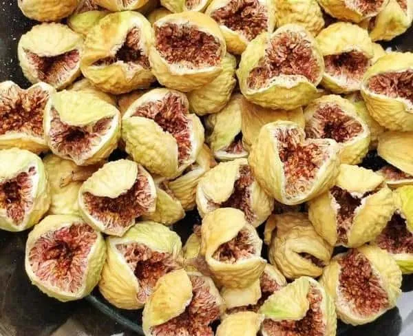 قیمت خرید انجیر پرک صادراتی + تست کیفیت