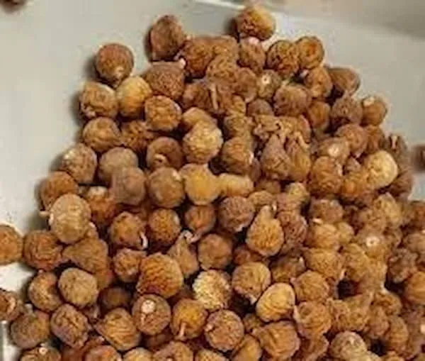 انجیر خشک فله + قیمت خرید، کاربرد، مصارف و خواص